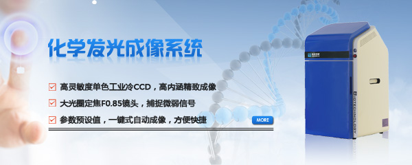 化學發光成像系統